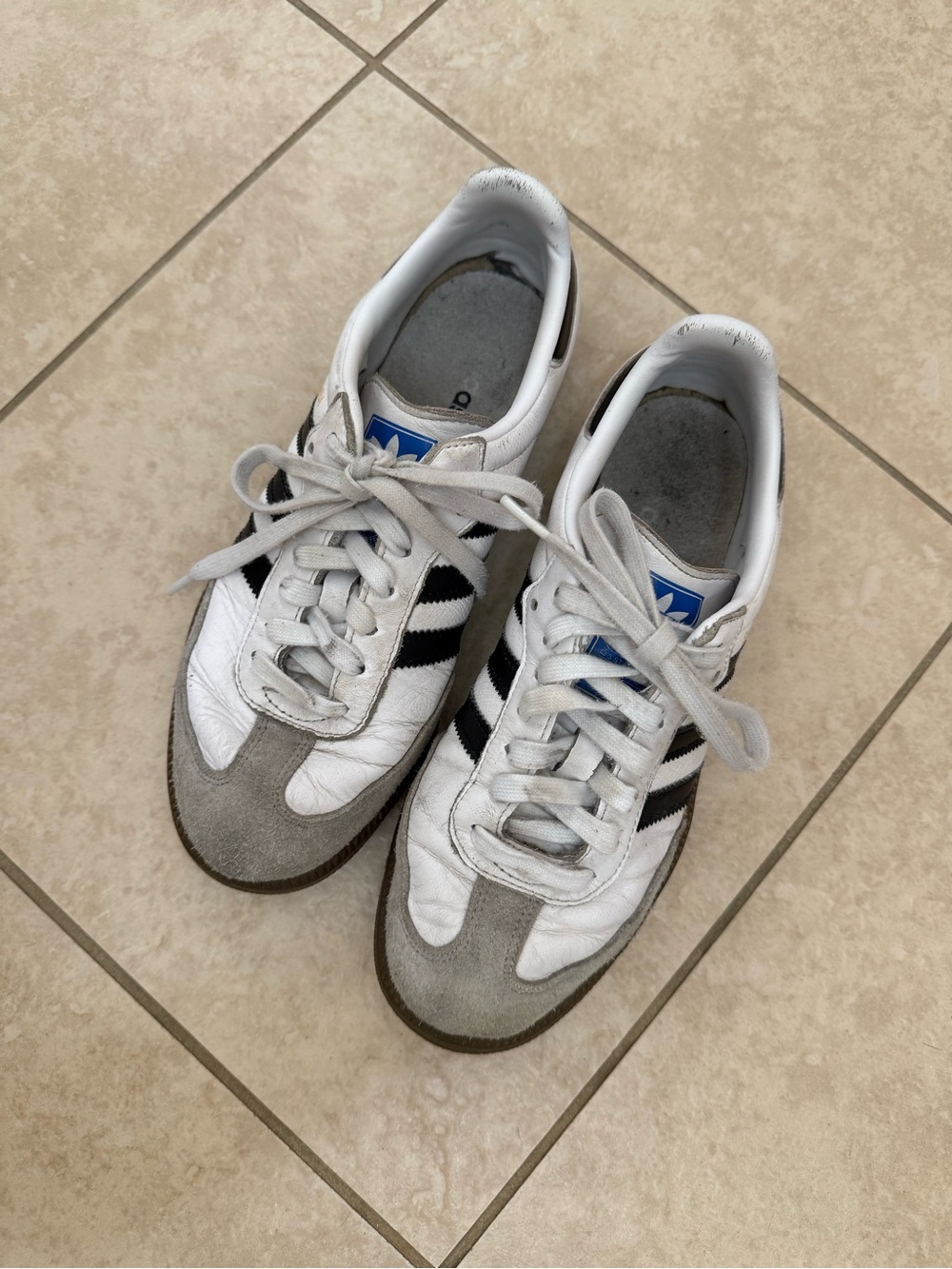 Adidas classic Samba